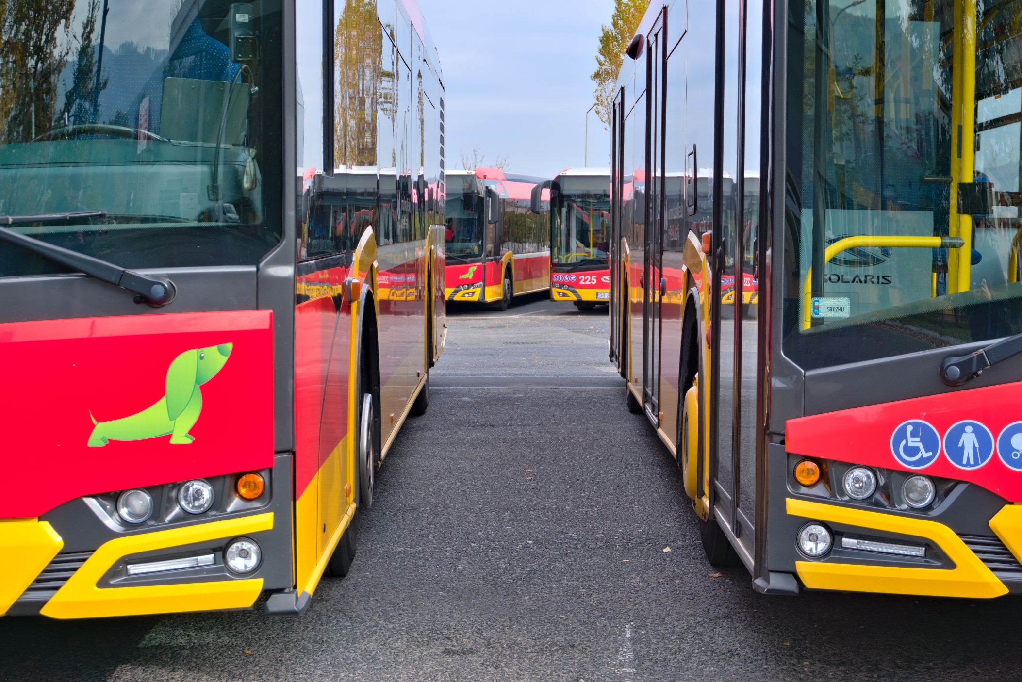 Ogłaszamy przetarg na leasing 19 autobusów