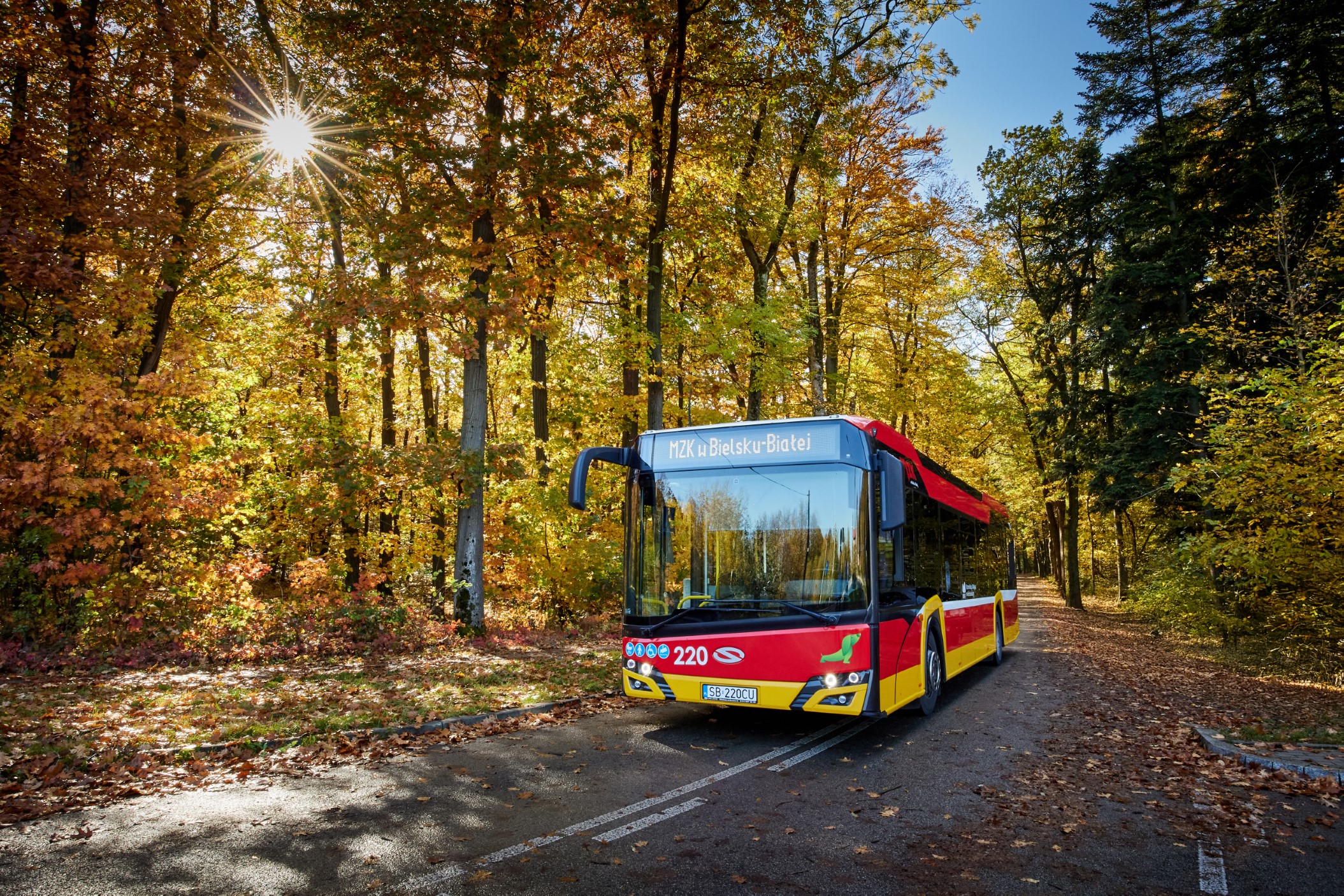 Zmiana rozkładu jazdy linii nr 53 od 4 stycznia 2025 r.