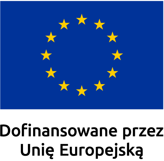 Dofinansowano przez Unię Europejską 