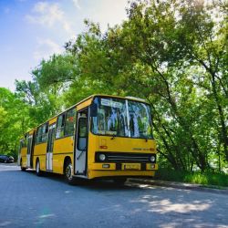 2026 05 24 ikarus  