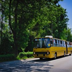 2026 05 24 ikarus  