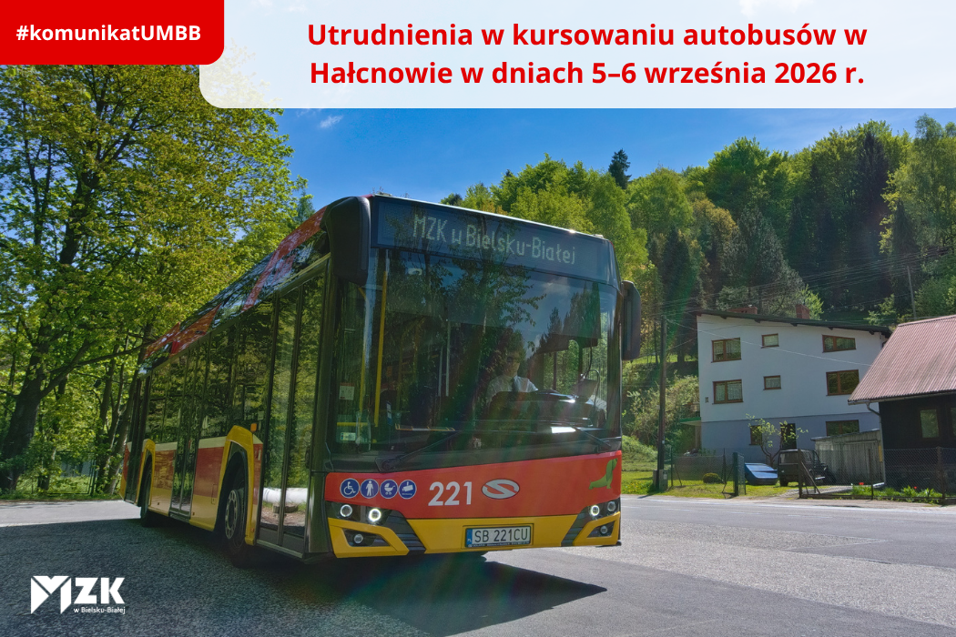 Zdjęcie autobusu na tle drzew