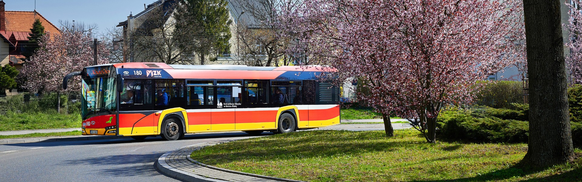 Autobus linii 2, kwiaty na pierwszym planie